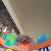 Betty Cartwright - Facebook