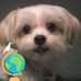 Betsy Casey - Facebook