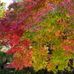 Betsy Chan - Facebook