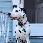 Betsy Childs - @betsychilds9 - Instagram