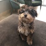 Betsy Clark - @betsyyyclark - Instagram