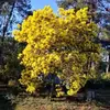 Betty Corbin - @betty.corbin - TikTok