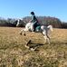 Elizabeth Cornwell - Facebook