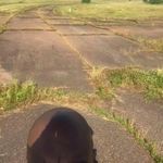 Betsy C. Cox - @betsyc.cox - Instagram