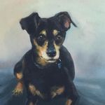 Betsy Cox - @betsy.cox.90410 - Instagram