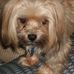 Betsy Cox - Facebook