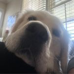 Betsy Cox - @betsycox2327 - Instagram