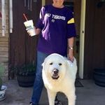 Betsy Cox - @betsycox7034 - Instagram