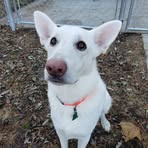 Betsy Dobson - Facebook