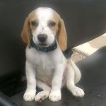 Betsy Dobson - @betsy.dobson.75 - Instagram