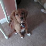 Betsy Evans - @betsyevans311 - Instagram