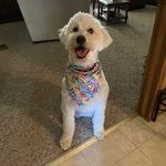 Betsy Freeland Evans - @bets56 - Instagram