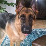 Betsy Ross Farrell - @betsy.farrell.5 - Instagram