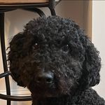 Betsy Goff Overstreet - @bgoverstreet - Instagram