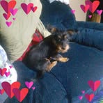 Betsy Goodwin - Facebook