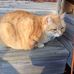 Betsy Grant - Facebook