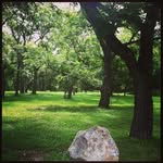 Betsy Grantham - @granthambetsy - Instagram