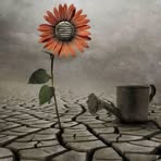 Betsy Grimm - Facebook