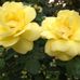 Betty Grinstead - Facebook