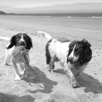Tracy Haddock - @rossi.tilly.betsy.woody - Instagram