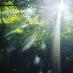 Betsy Haley - @carpe_diem_seize_theday - Instagram