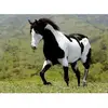 Betsy Haley - @betsy.haley - TikTok