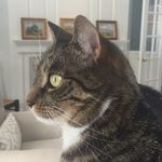 Betsy Halstead - @betsyhalstead - Instagram