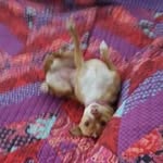 Betsy Cardwell Hansen - @mumzybch - Instagram