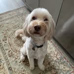 Betsy Harmon Ziegler - @bezig51 - Instagram