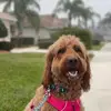 betsyharmon353 - @betsyharmon353 - TikTok