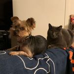 Betsy Alcaraz Harner - @bmharner - Instagram