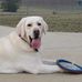 Betsy Harner - Facebook
