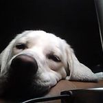 Betsy Harner - @betsyharner - Instagram
