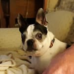 Betsy Harrison - @betsyharrison32 - Instagram