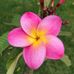 Betsy Harrison - Facebook