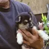 Betsy Hatch - @betsy.hatch - TikTok