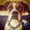 betsyhebert - @betsyhebert - TikTok