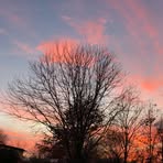 Betsy Hendricks - Facebook
