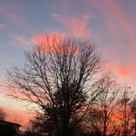 Betsy Hendricks - @hendricksbetsy - Instagram