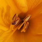 Betsy Hendricks - Facebook