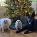 Betsy Hendrickson - Facebook