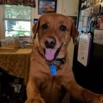 Betsy Hester - @betzilla1 - Instagram