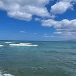 Elaine Traynor - @beau_chester_betsy_ - Instagram
