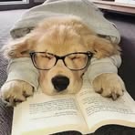 Betsy Ho - Facebook
