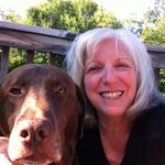 Betsy Hoffman - @petesdds - Instagram
