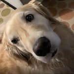 Betsy Coyne Hunt - @hazels_mum - Instagram