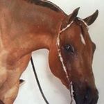 Betsy Hyde - @betsyhyde - Instagram
