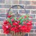 Betsy Jackson - Facebook