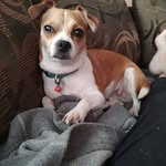 Betsy Jackson - @bomb_diggity_aunt_b - Instagram