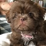 Betsy Kane Betts - @lil_miss_fulshear - Instagram